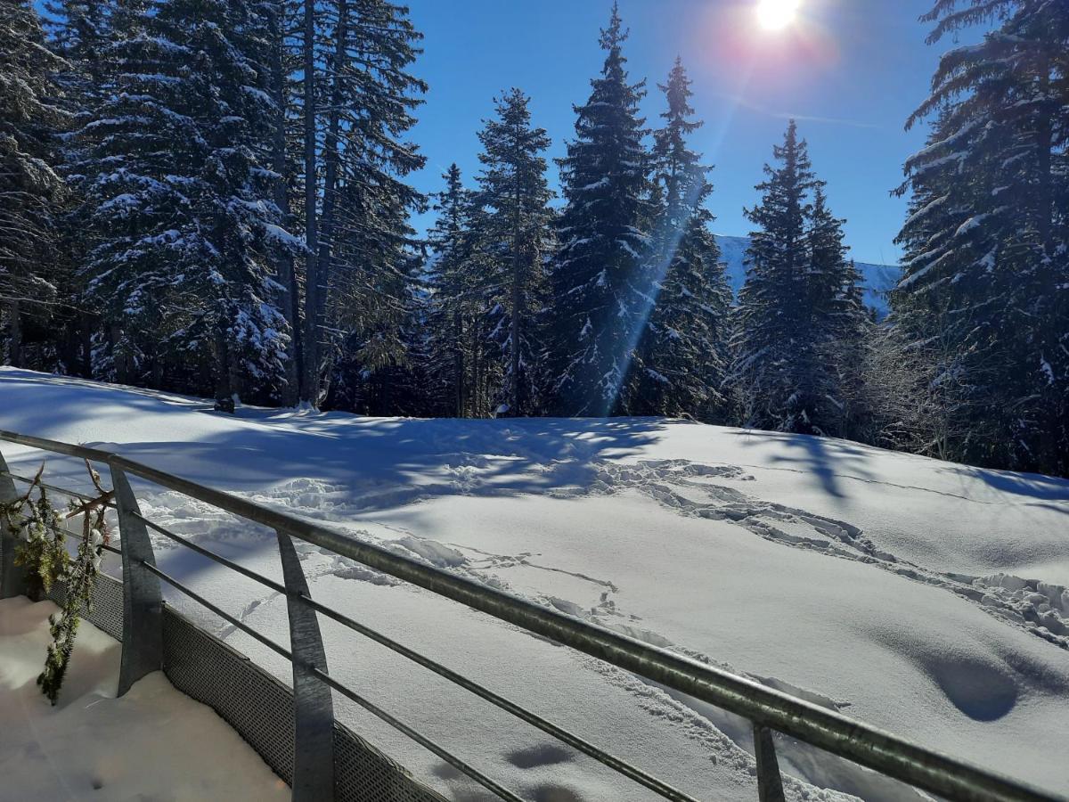 La Petite Foret Chamrousse 1700 Bagian luar foto