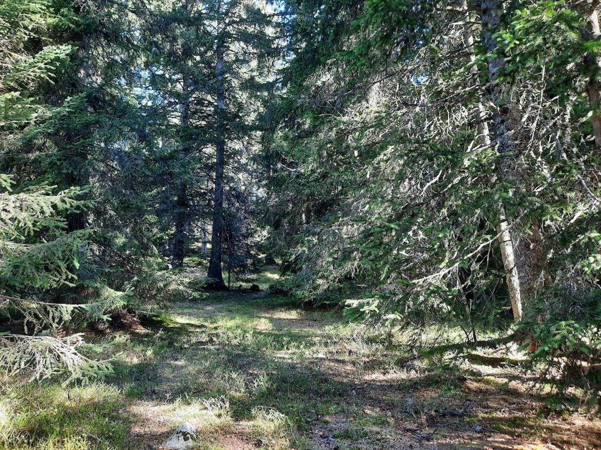La Petite Foret Chamrousse 1700 Bagian luar foto