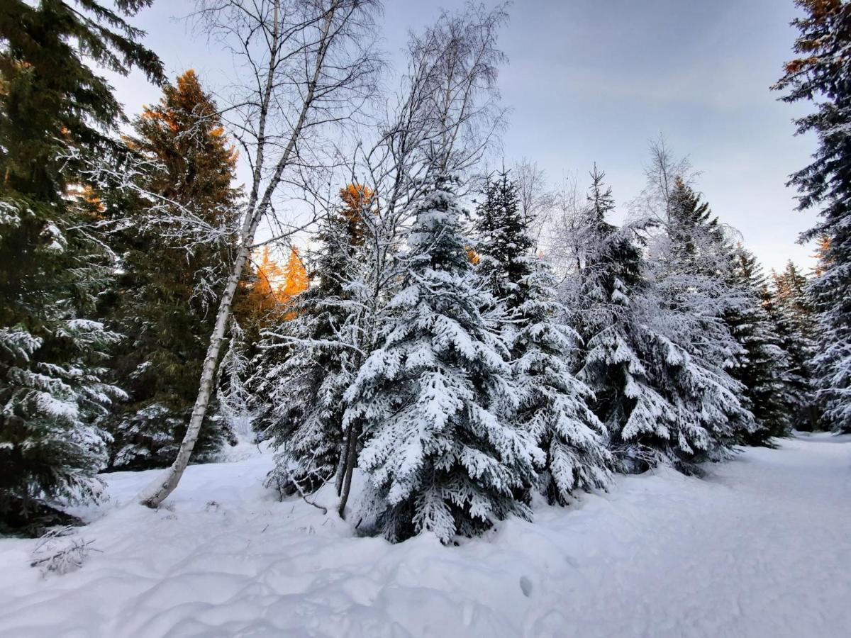 La Petite Foret Chamrousse 1700 Bagian luar foto