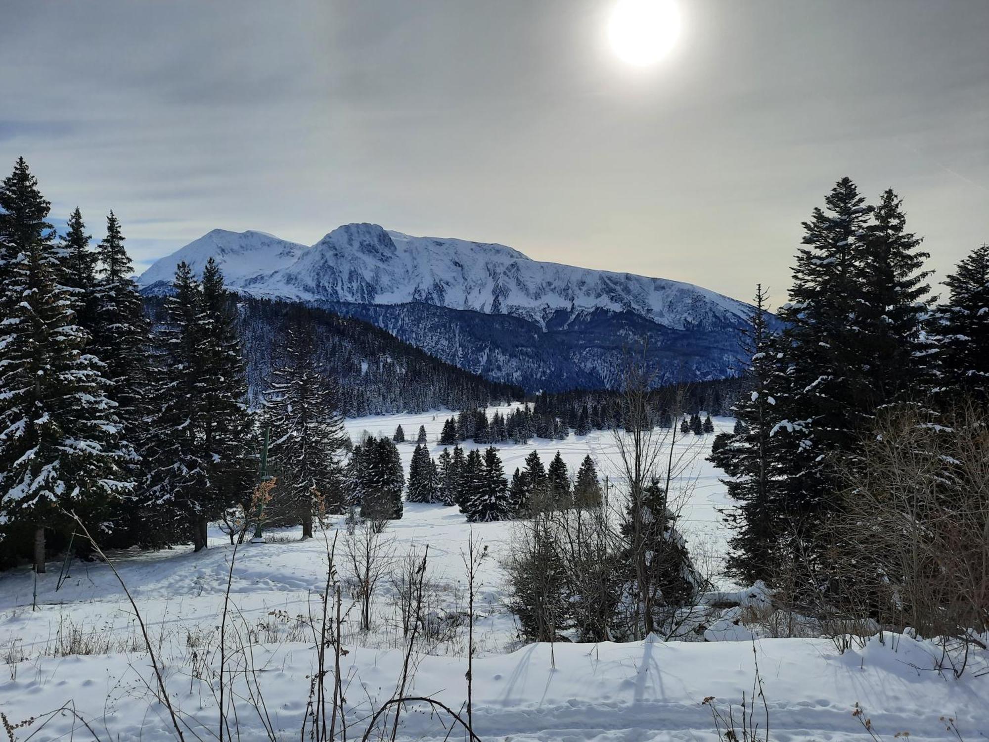 La Petite Foret Chamrousse 1700 Bagian luar foto