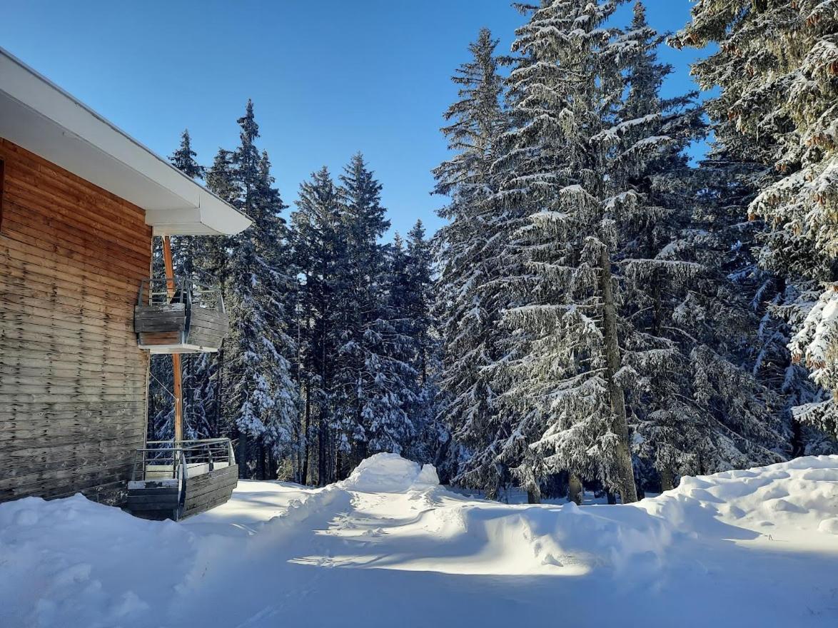 La Petite Foret Chamrousse 1700 Bagian luar foto